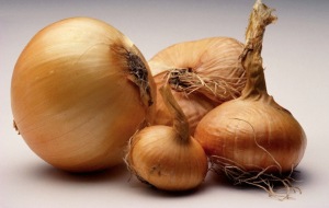 Onions --- Image by © Roy Morsch/zefa/Corbis